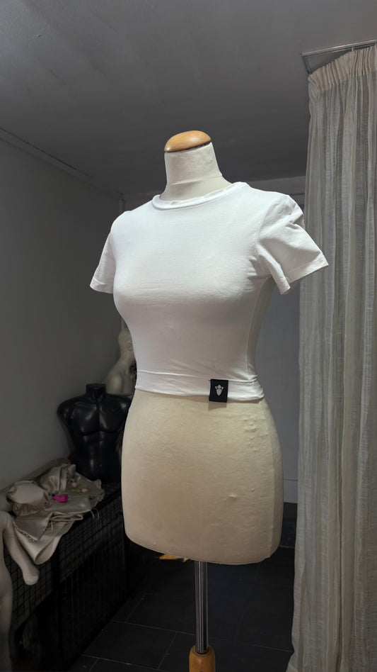 Short Sleeve Crop Top